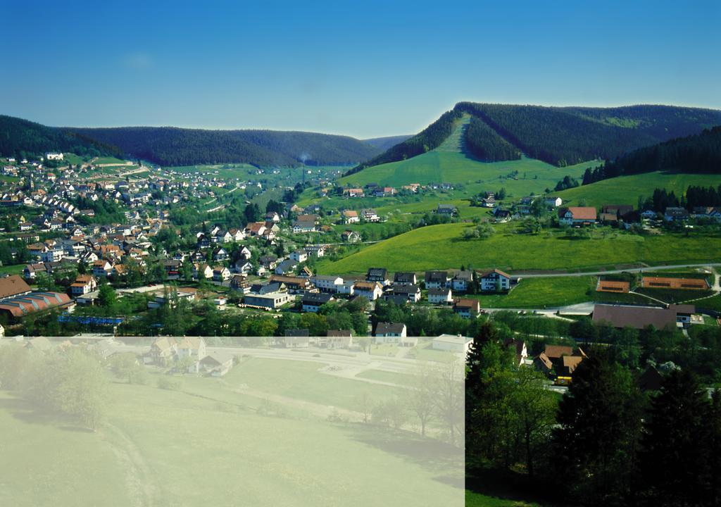 Haus Bergwiese Baiersbronn Esterno foto